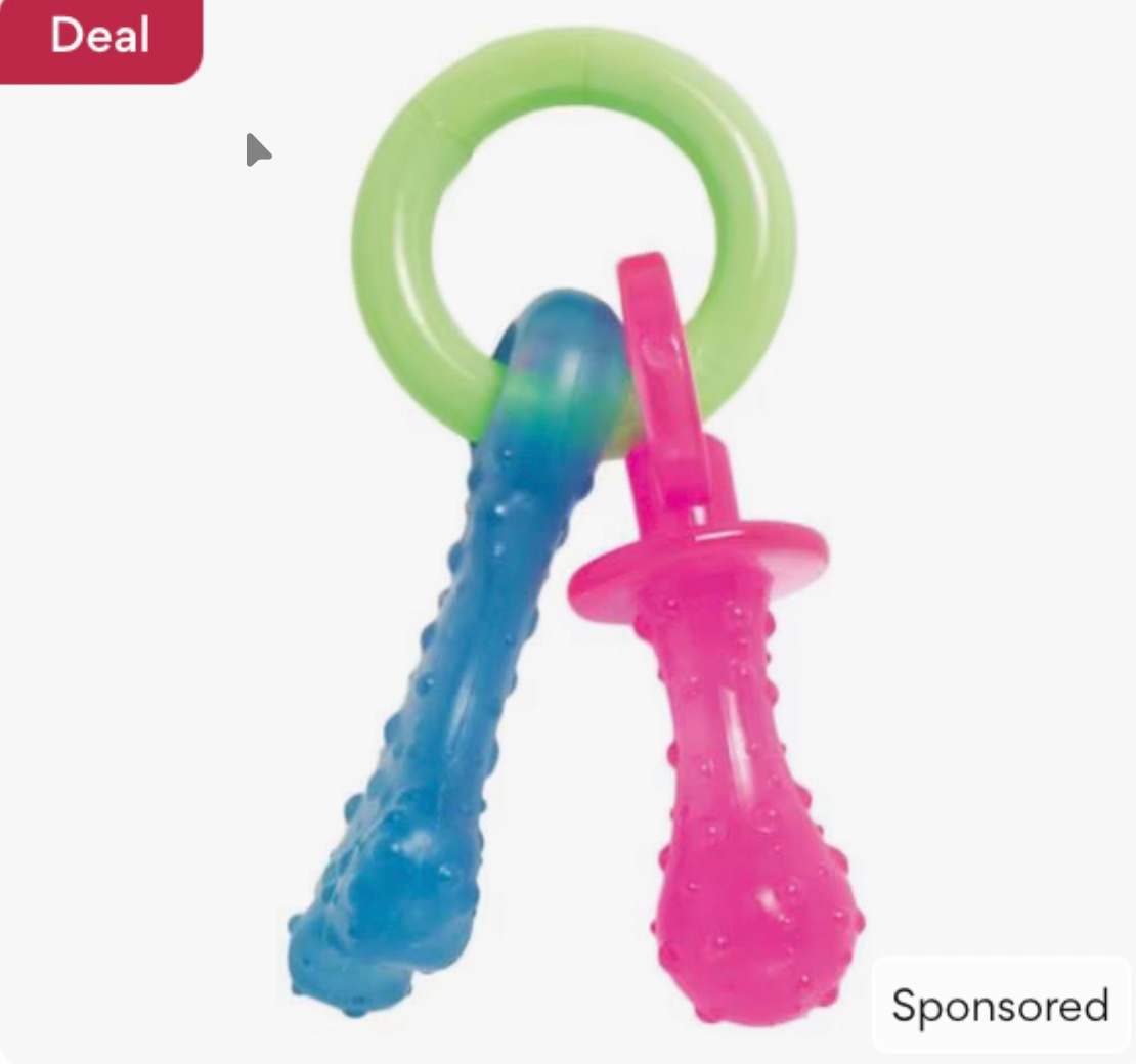 Nylabone Puppy Pacifier