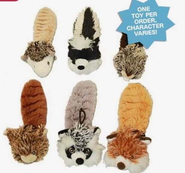 Bouncy Burrow Buddies